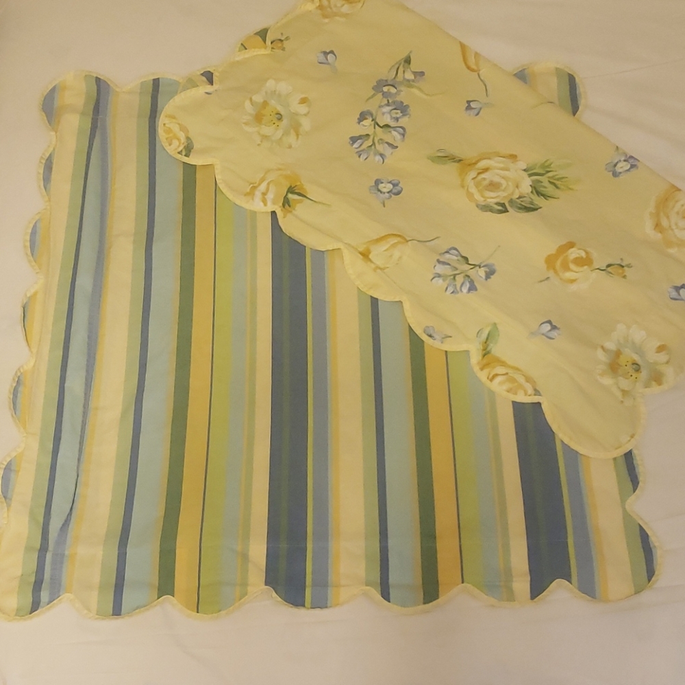 Pair of Reversible Euro Pillow Shams